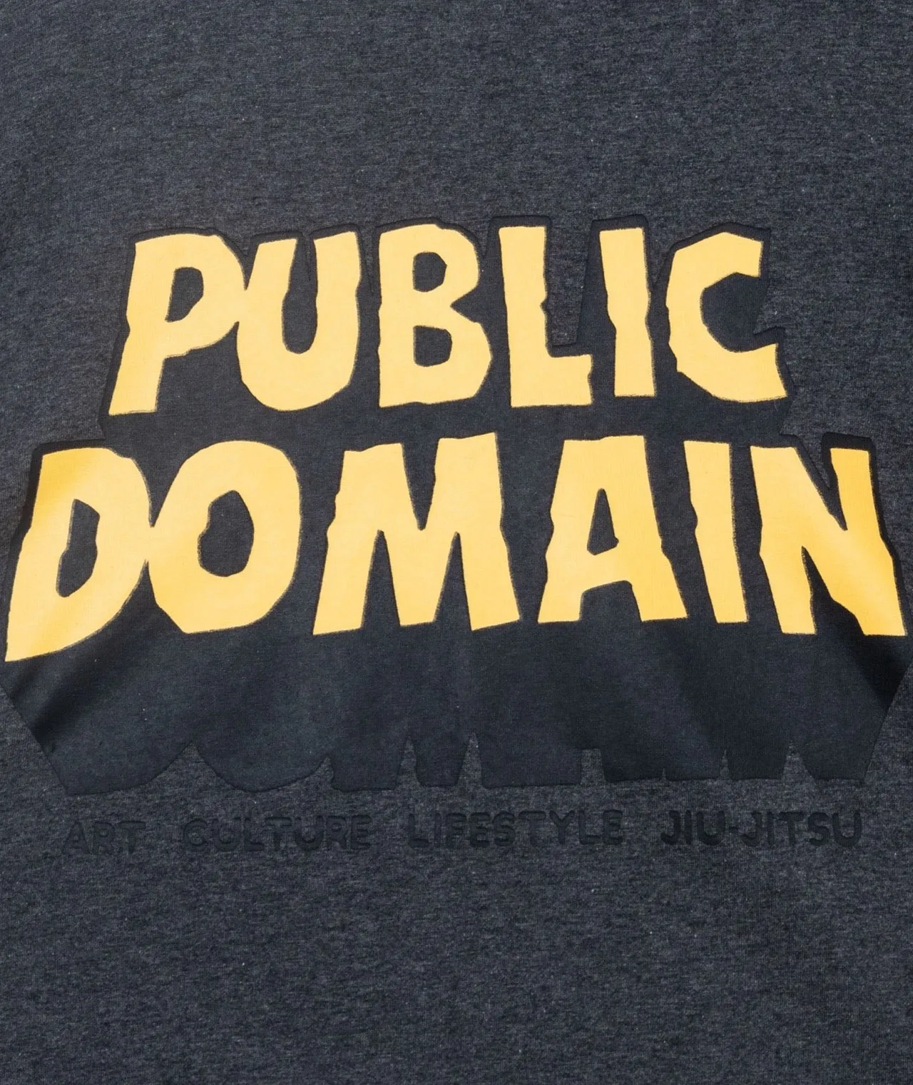 Tatami x Public Domain Classic Logo T-Shirt